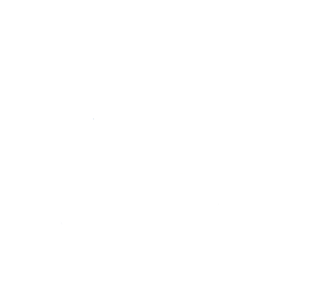 Boston Borough Council Logo